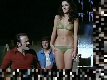 Selebritis, Antik, Atasan, Berambut cokelat